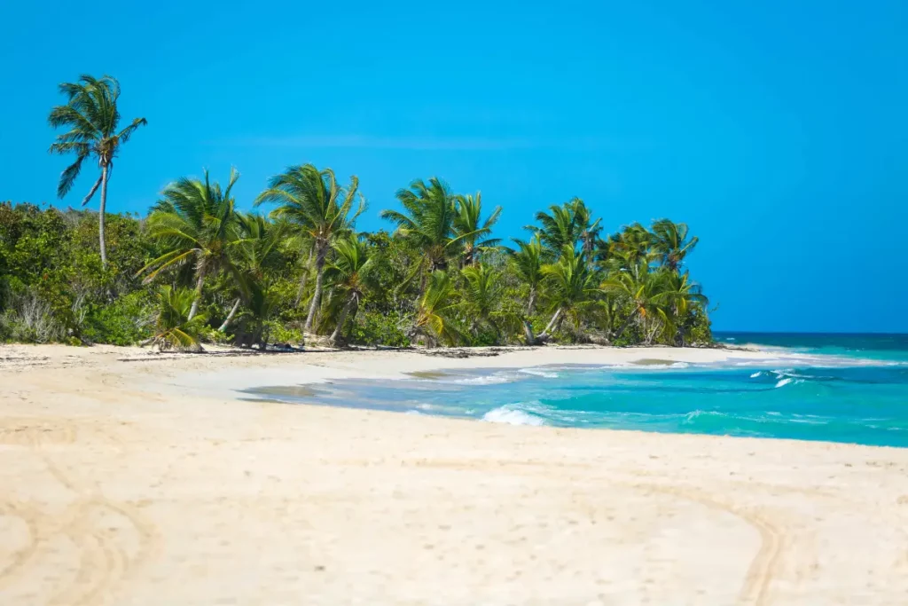 beach near AQUA Ville Moderna in Puerto Rico, with golden sands, azure waters, and palm-fringed coastline, offering a picturesque tropical escape.
